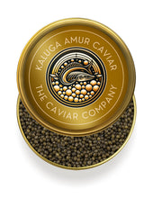 Load image into Gallery viewer, Deluxe Kaluga Amur