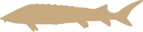 files/russian-silhouette.png